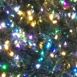 Meet your Posher, Janice